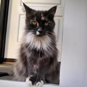 Meet your Posher, Barbara